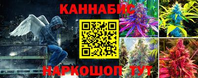 соль ск Кингисепп