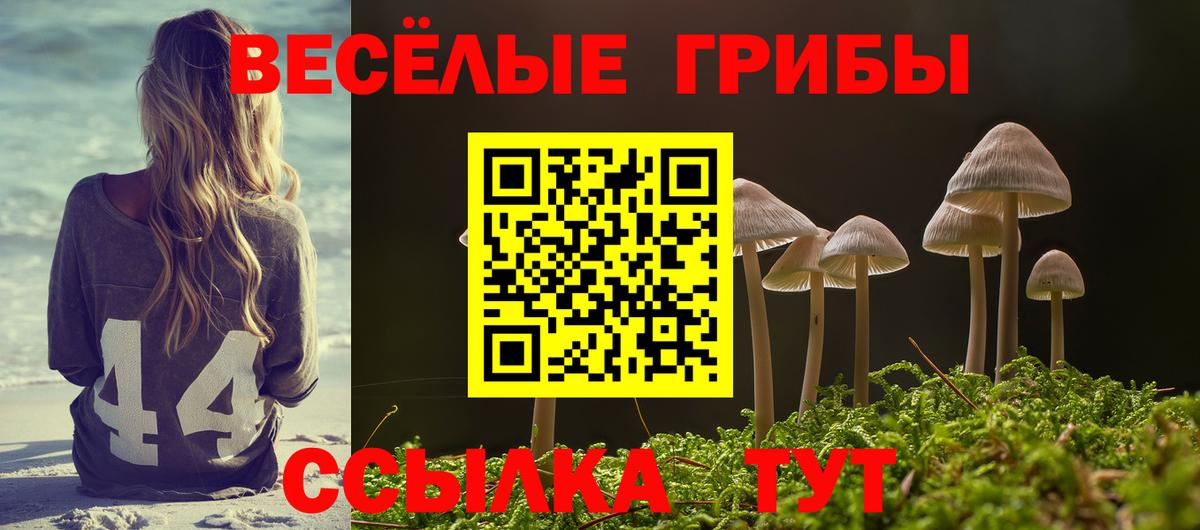 Галлюциногенные грибы MAGIC MUSHROOMS Дюртюли