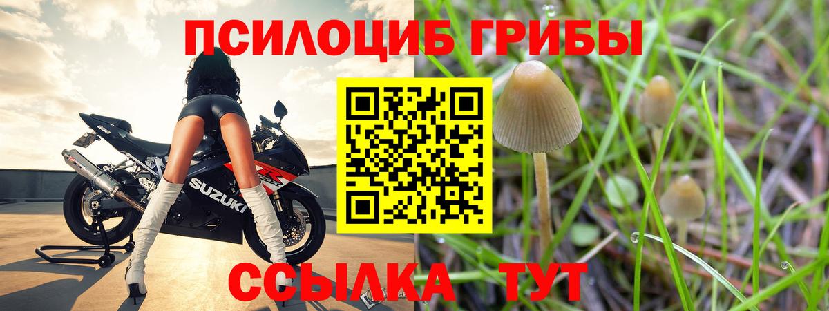 Псилоцибиновые грибы прущие грибы  наркота  Вход с VPN  Дюртюли  Галлюциногенные грибы Magic Shrooms 